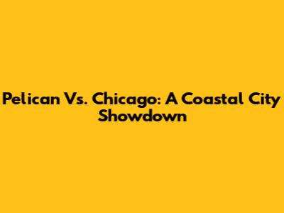 Pelican Vs. Chicago: A Coastal City Showdown